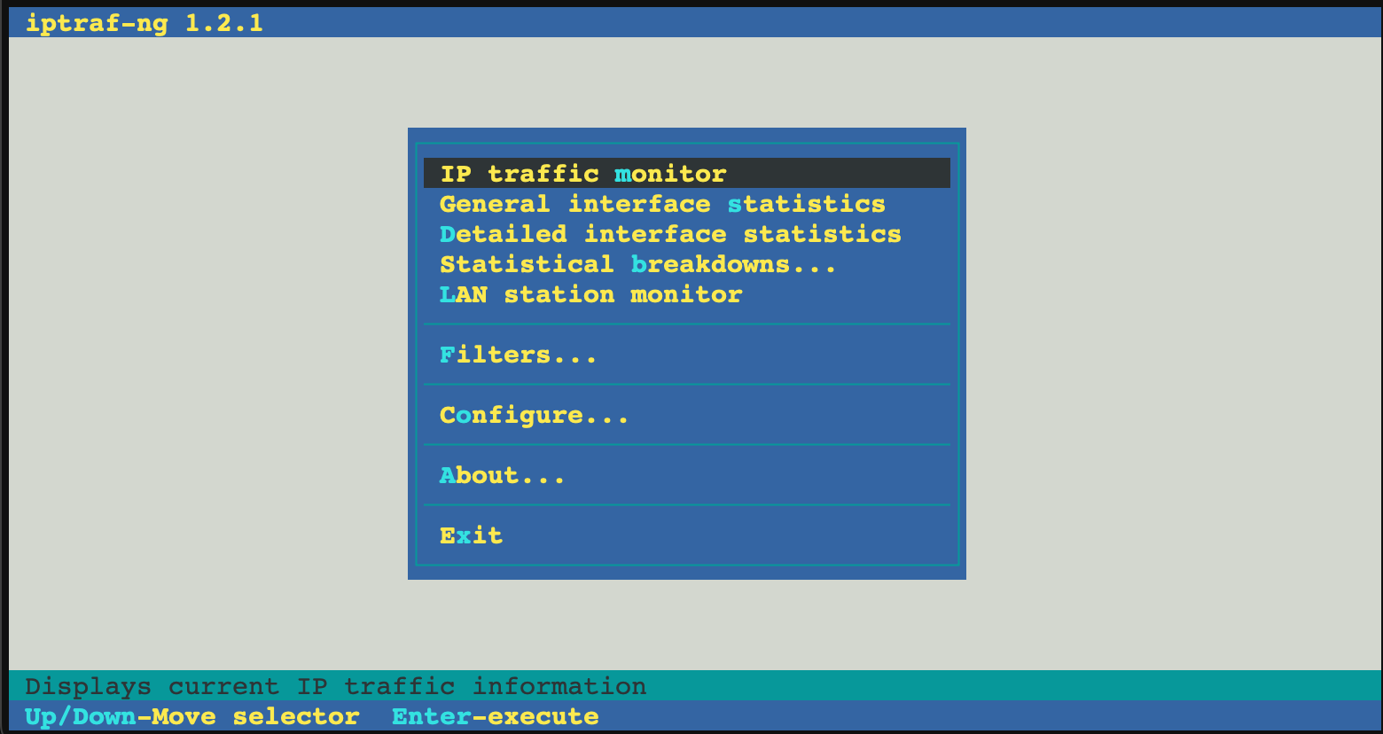 iptraf-ng IP LAN monitor