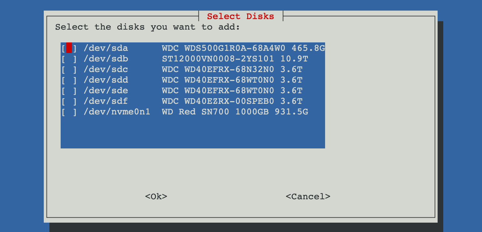 Free disks detected on the host (with ⚠ labels for stale metadata)