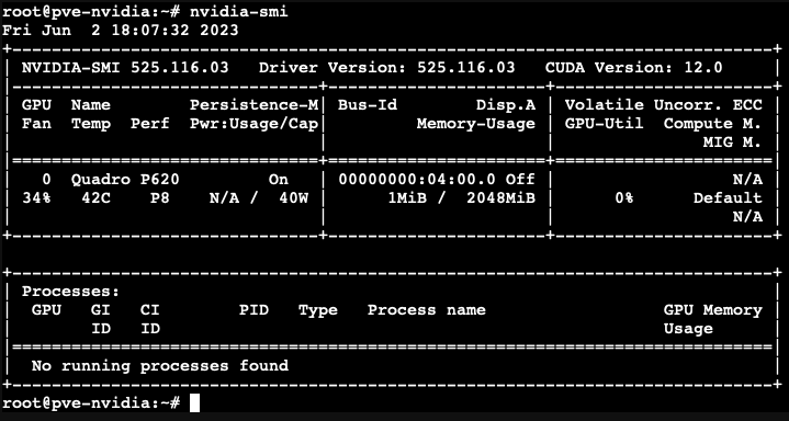 NVIDIA SMI output