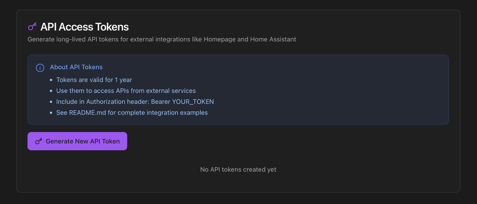API Access Tokens card empty state with About API Tokens info box and Generate New API Token button