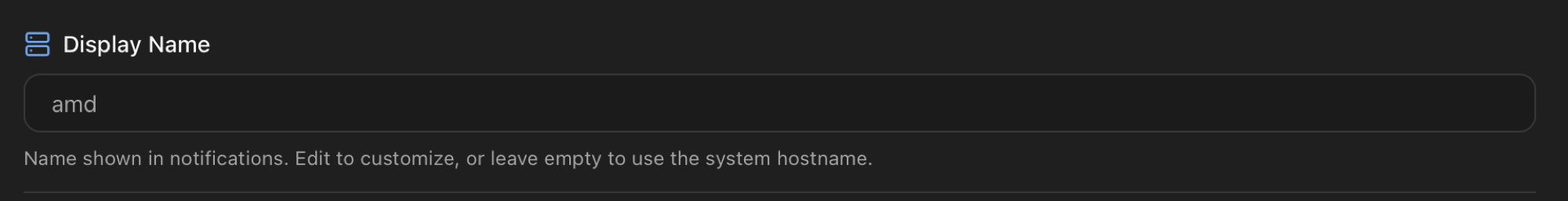 Display Name field with the value amd shown as example, label Name shown in notifications - edit to customize or leave empty to use the system hostname
